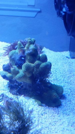 2018-03-09 16.38.29.jpg