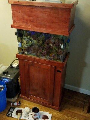 unnamed (1).jpg