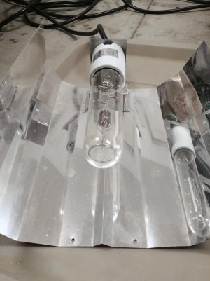 20171215_162307.jpg