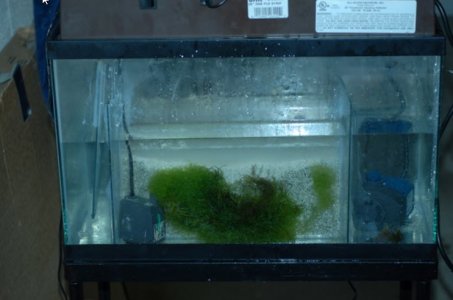 refugium_ls.jpg