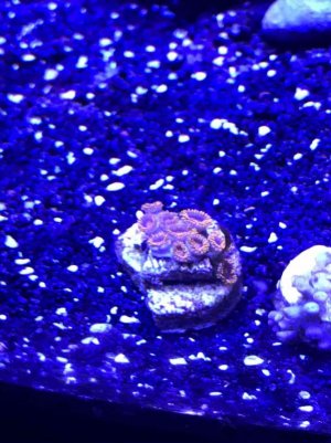 IMG_3070.jpg IMG_3070.jpg