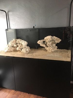 Aquascape dry no lights.jpg