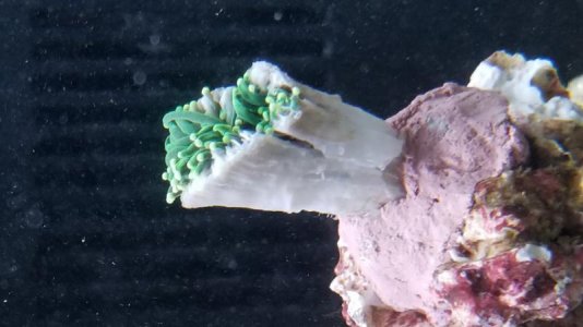 20180314_163723.jpg
