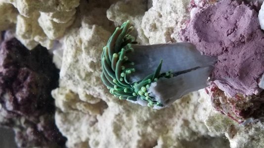 20180314_172053.jpg