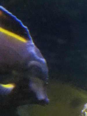 20180504_230716.jpg