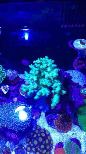 IMG_2476.jpg