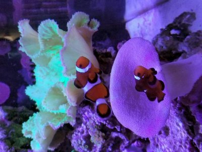 20180315_065928.jpg