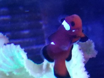 20180315_065647.jpg