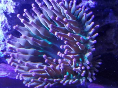 20180315_065956.jpg