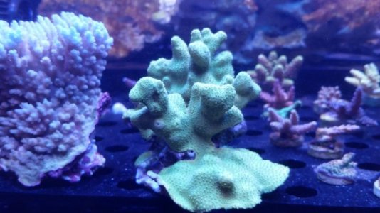 20170928_111538.jpg