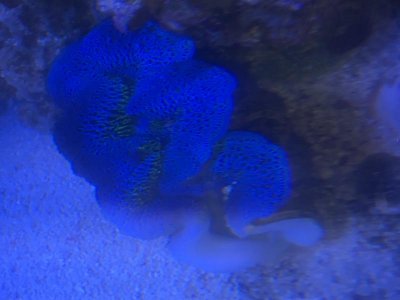 6376DA11-8DF2-44B1-8160-59AE7B43B56B.jpg