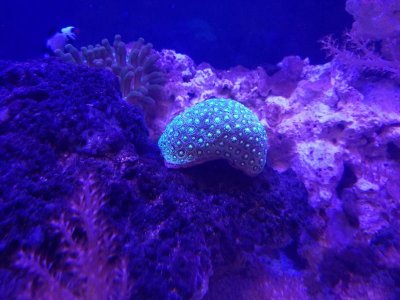 20180316_190156.jpg