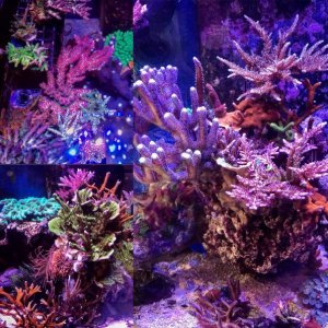 70566254-51E6-4598-81D5-9761C48BE2E0.jpg