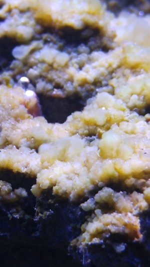 0508181146 - Edited.jpg