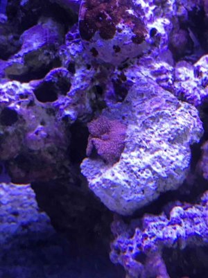 IMG_1367.jpg
