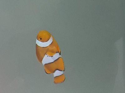 20180510_213346.jpg