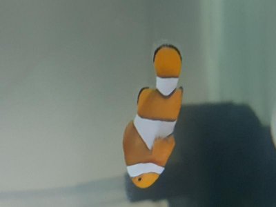 20180510_213304.jpg