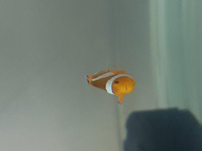 20180510_213301.jpg