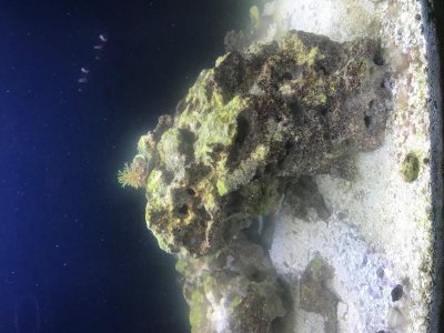 IMG_0631.jpg