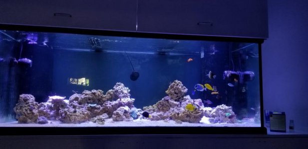 20180318_140216.jpg