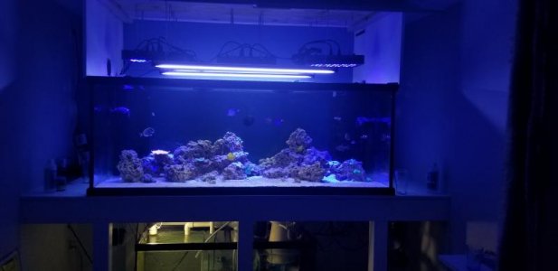 20180310_185908.jpg