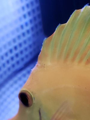 20180512_190229A.jpg