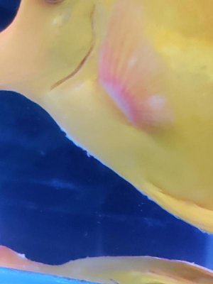20180512_190317A.jpg