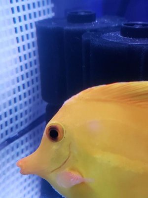 20180512_190302A.jpg