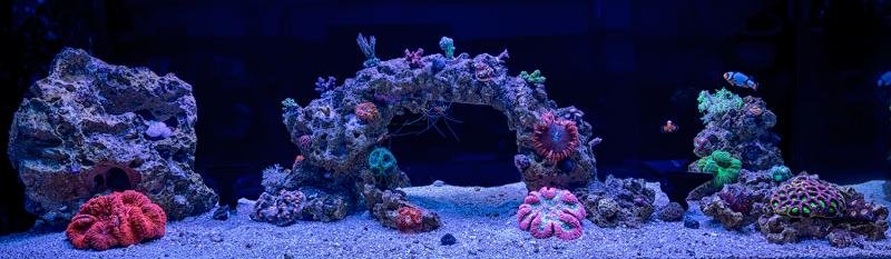 Tank-March2018.jpg