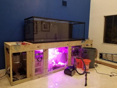 20180319_214409.jpg