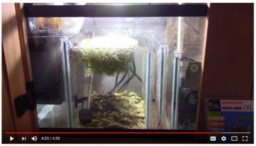 Micro pods and refugium set up help | Reef Central Online Community