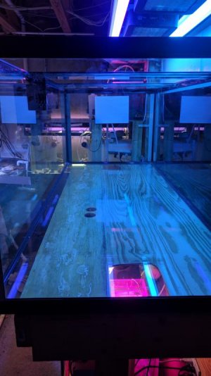 IMG_20180315_204925.jpg