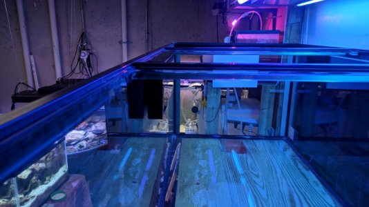 IMG_20180315_204905.jpg