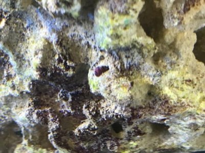 IMG_0667.jpg