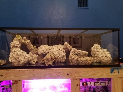 20180321_225250.jpg