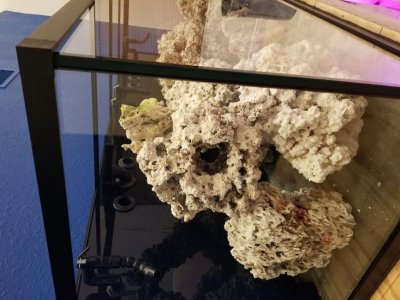 20180321_225251.jpg