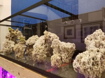 20180321_225336.jpg