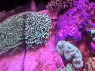 IMG_20180317_142342.jpg