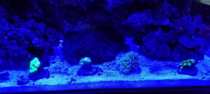 20180514_191358.jpg