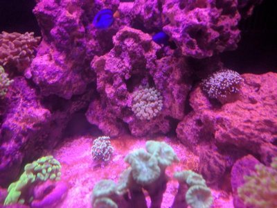 IMG_20180309_202251.jpg