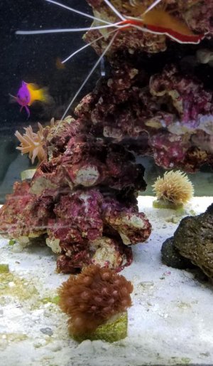 20180514_191631.jpg