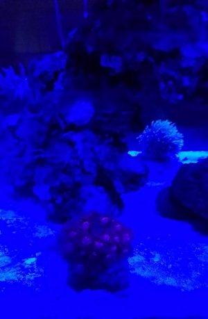 20180514_191639.jpg