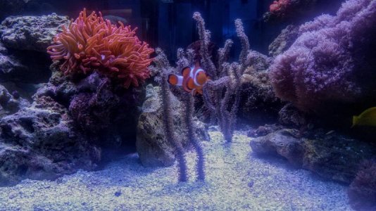 IMG_20180515_190158.jpg