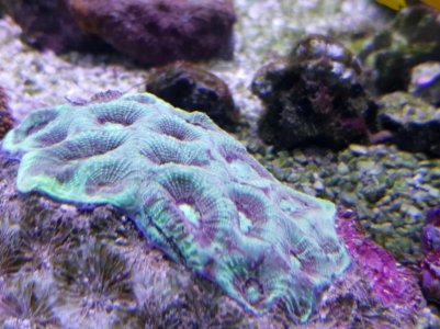 Resized_20180324_171346_4017.jpg