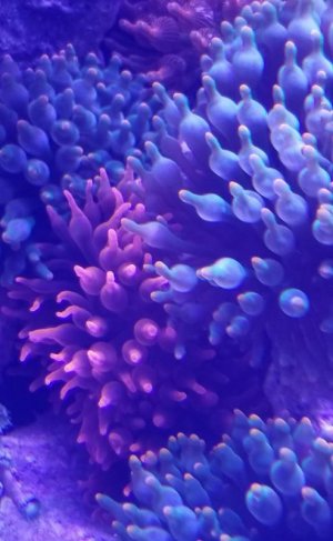 20180322_093503.jpg