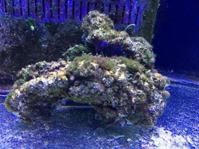 IMG_4647 (Small).jpg