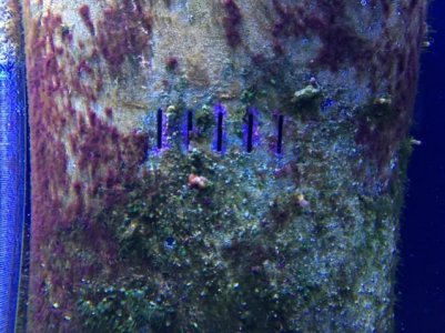 IMG_4649 (Small).jpg