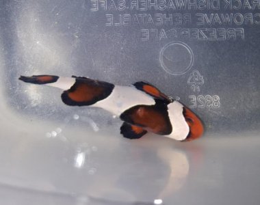 20180518_002742.jpg