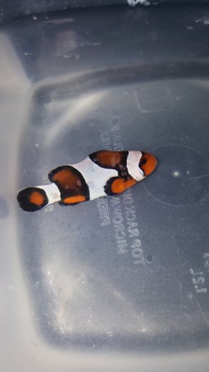 20180518_003115.jpg