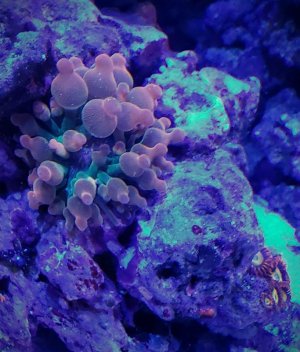 20180328_085400.jpg